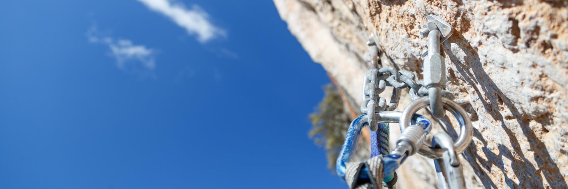 We power your Insurance!